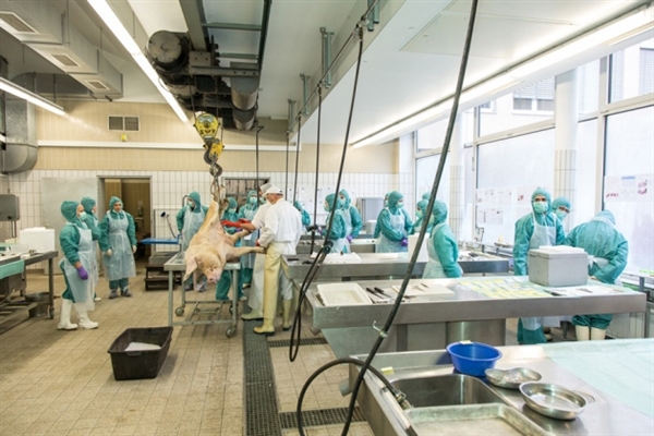 7月18日，不朽情缘mg官网将参加2011年ISSX/CSSX联合学术会议