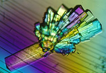 PD-1抑制剂成“抗癌神器”，国内外企业进展如何？