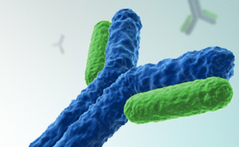 蛋白质分离纯化不朽情缘mg官网公司