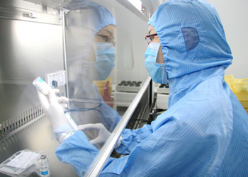 BE试验：如何提升试验成功率