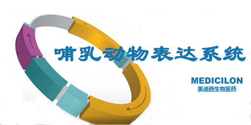 哺乳动物细胞表达系统特点、优势及研究现状