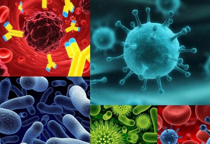 肿瘤免疫疗法：战略对头战术乏力