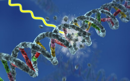 Nature：癌症治疗发现新靶点