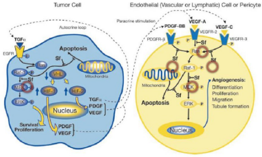 多靶点药物：创新药物设计的重要思路
