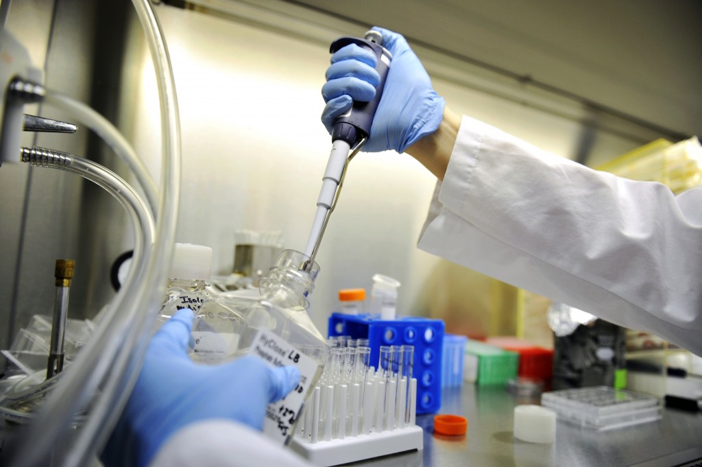 一致性评价需要遵循哪些技术指导原则以及技术要求？