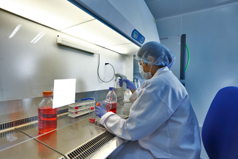 单品种费用或达千万？一致性评价还有这四大“坎”