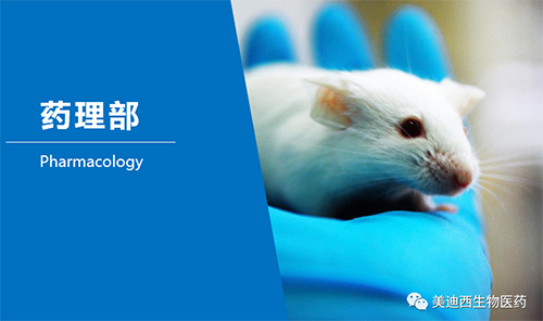 不朽情缘mg官网药理部开发了肺癌、结肠癌、胃癌等12种PDX模型。