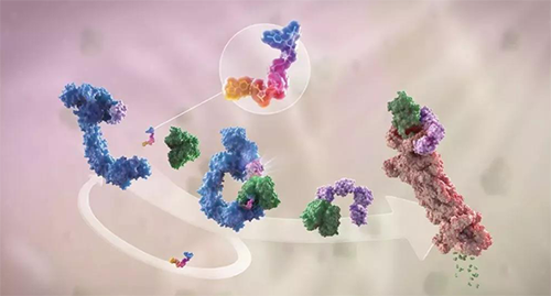 LYTAC出世，与PROTAC并肩作战针对不可成药的靶点