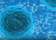 攻克三阴性乳腺癌，蜜蜂毒液竟是关键？