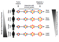 究竟为什么ICB疗法在年轻女性肿瘤患者体内收效甚微？