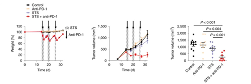 与对照组及仅使用PD-1疗法的模型小鼠对比，采用短期饥饿配合PD-1疗法的393P细胞同源移植肿瘤小鼠体内的肿瘤体积有了明显的收缩。