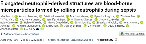 一种神秘颗粒被发现了 ！它能否成为败血症早筛标志物？