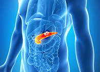 Science：“癌王”胰腺癌终于出现了治疗新曙光