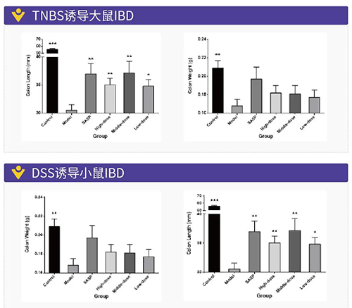 TNBS诱导的大鼠IBD、DSS诱导的大鼠IBD