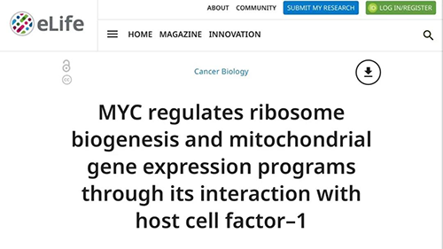 可以“融化”肿瘤的蛋白质，你一定没有听说过！