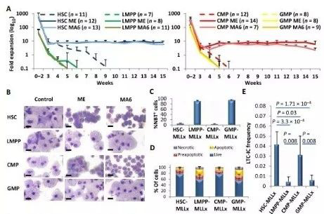 Science子刊：一种FDA批准的抗腹泻药物可有效对抗化疗的耐药性 不朽情缘mg官网生物医药