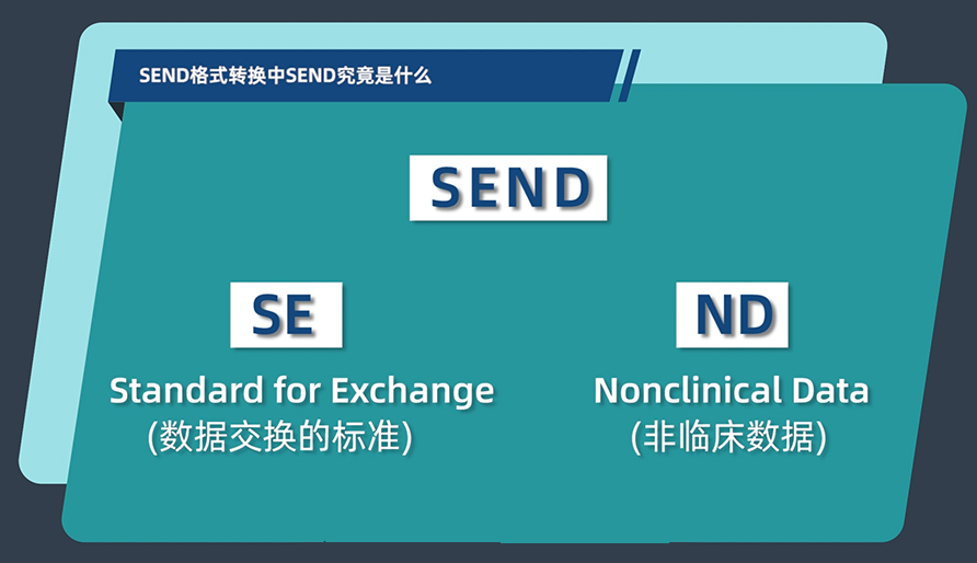 SEND格式转换中的SEND究竟是什么？