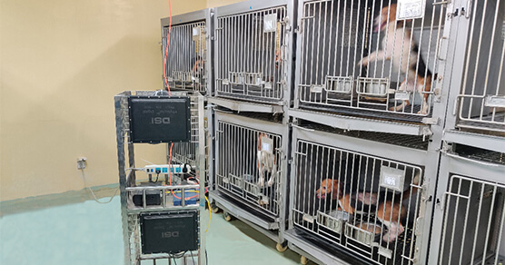 数字化生理遥测系统