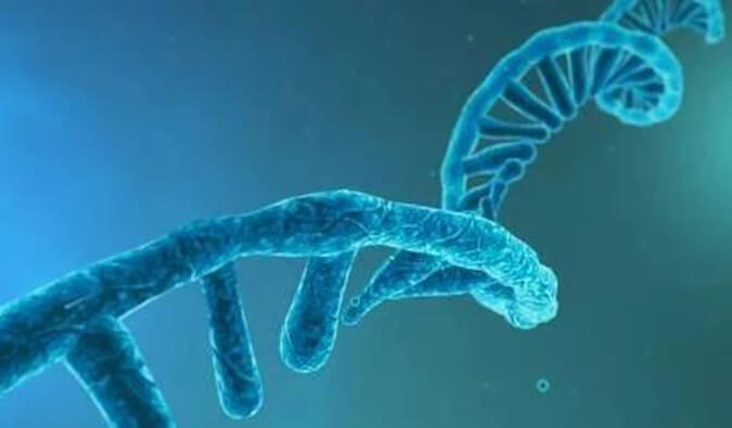 美研丨寡核苷酸药物市场前景、发展挑战及应对策略