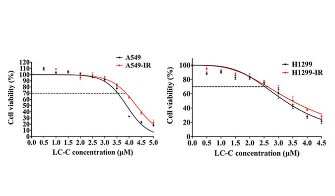 放射疗法用作肺癌的主要治疗方法，本研究中建立抗电离辐射肺癌细胞系的放射治疗通过不朽情缘mg官网进行