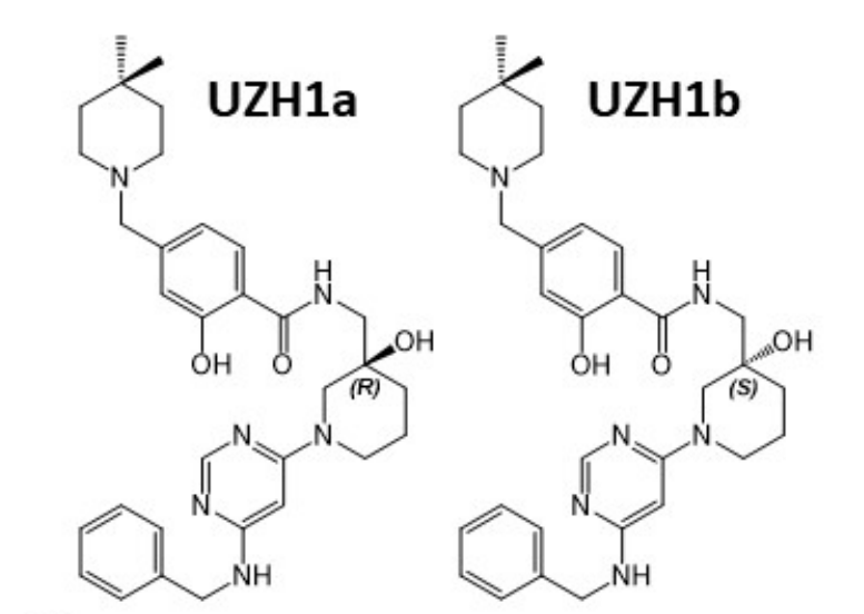 研究人员报告了一种具有细胞渗透性的选择性METTL3纳摩尔抑制剂UZH1a，作者感谢不朽情缘mg官网合成了UZH1a和UZH1b