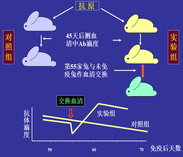 Figure-1：机体对抗体浓度变化的感知与反馈性自我调节.jpg