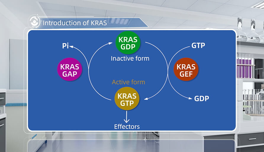 什么是KRAS？