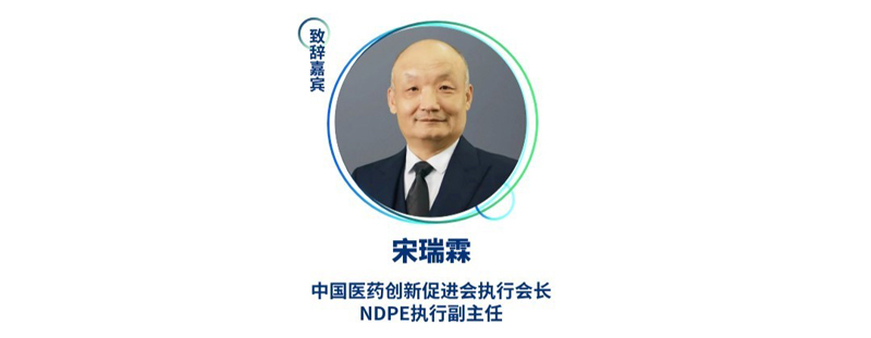 宋瑞霖--中国医药创新促进会执行会长、NDPE执行副主任.jpg