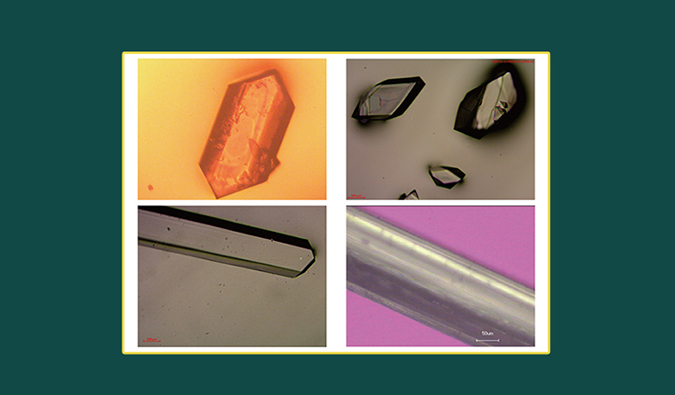 美研| CMC系列(十二)：单晶结构解析在药物开发中的应用和单晶培养哪些事儿