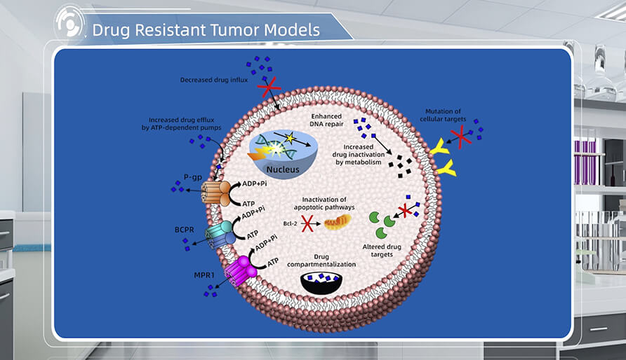 肿瘤耐药机制是什么？