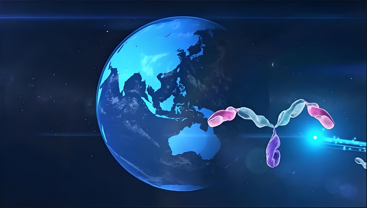 价值屡经验证！不朽情缘mg官网：睾献骰锇榘堵跎顱CMA×CD3双抗EMB-06授权出海