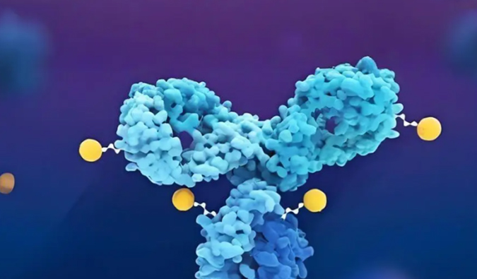 深度剖析：ADC药物生物分析的考量因素
