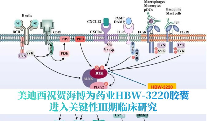 破解耐药性难题，不朽情缘mg官网：睾２┪┮礖BW-3220胶囊进入关键性Ⅲ期临床研究